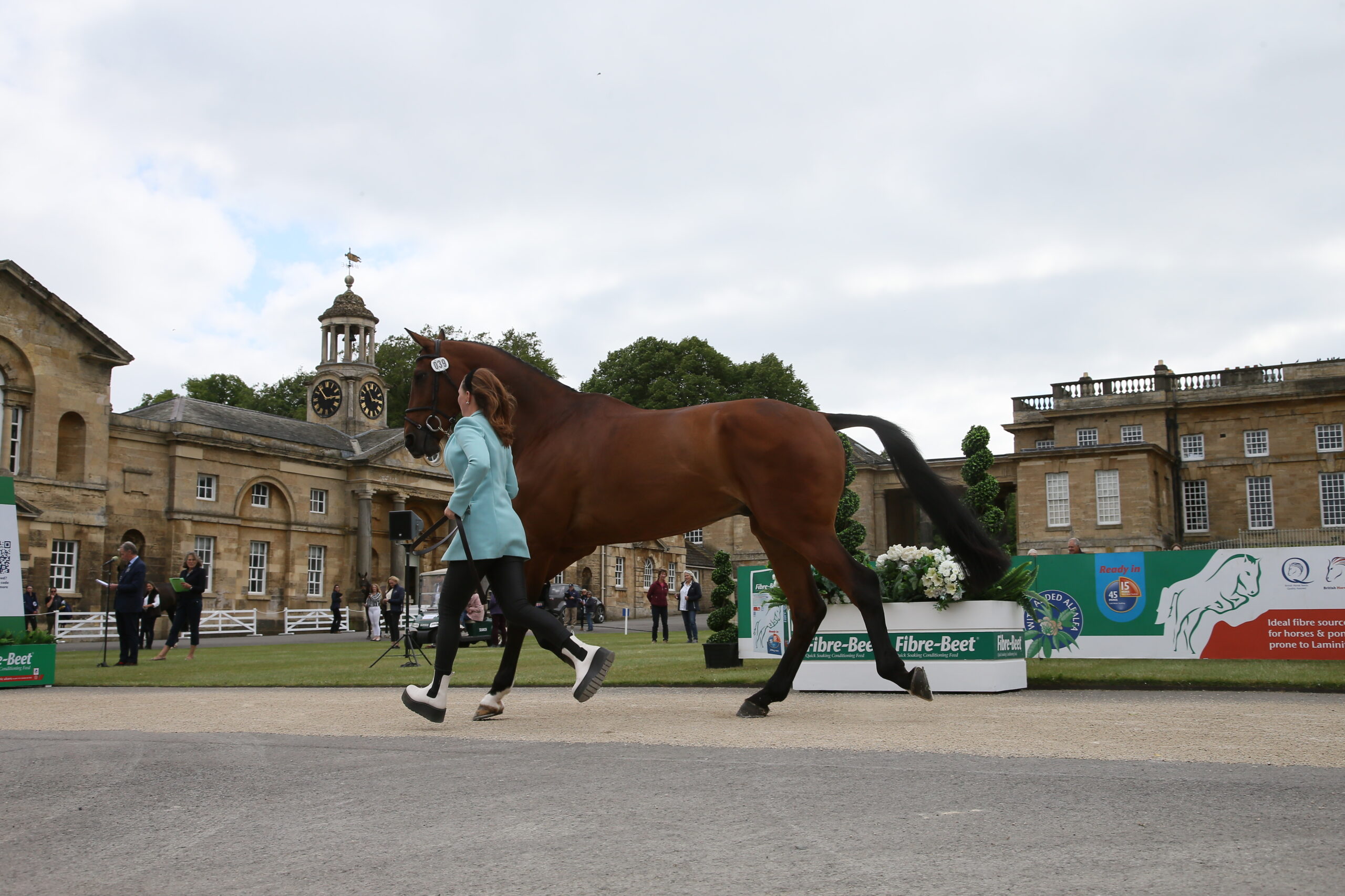 1st Trot up