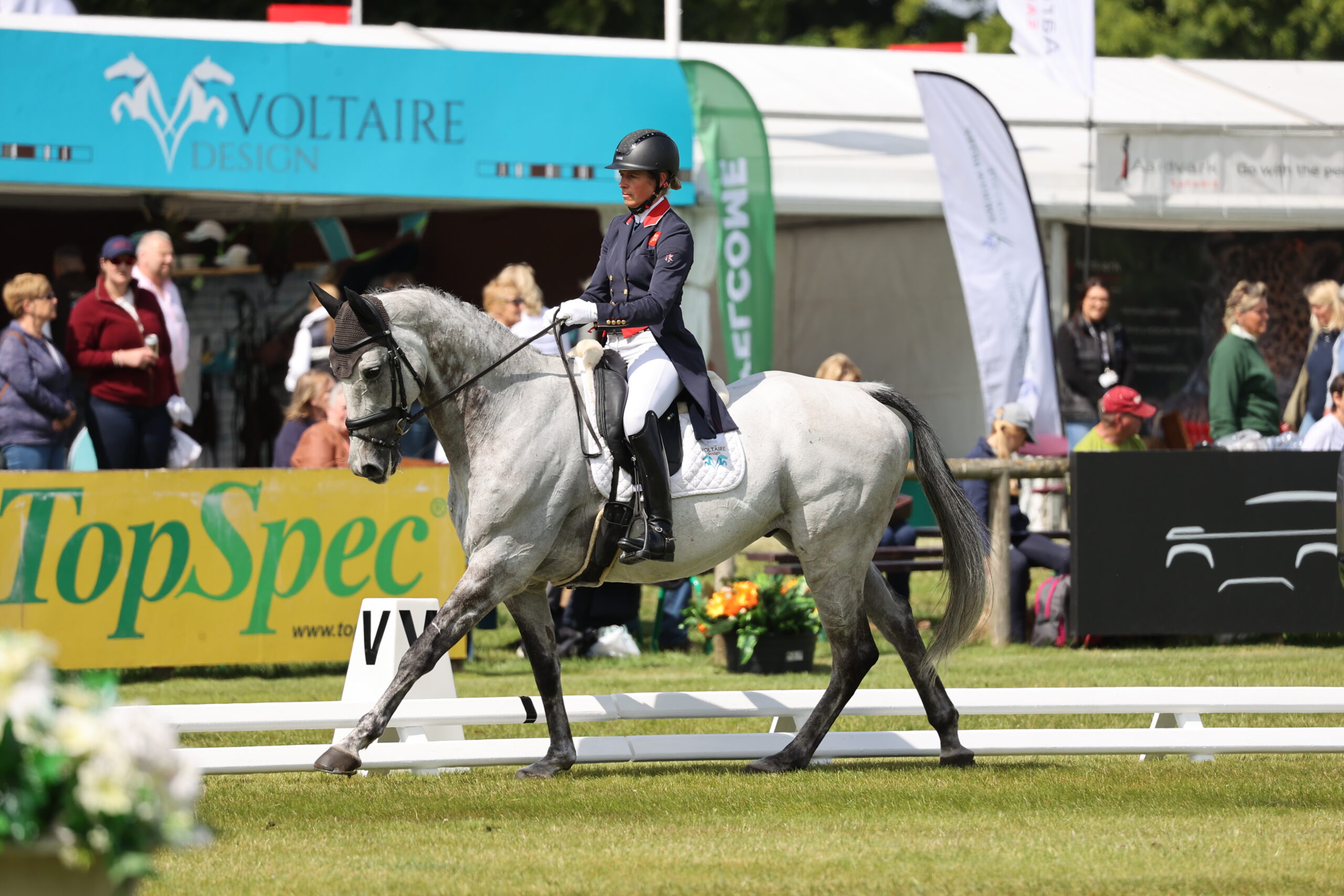 Dressage Canter