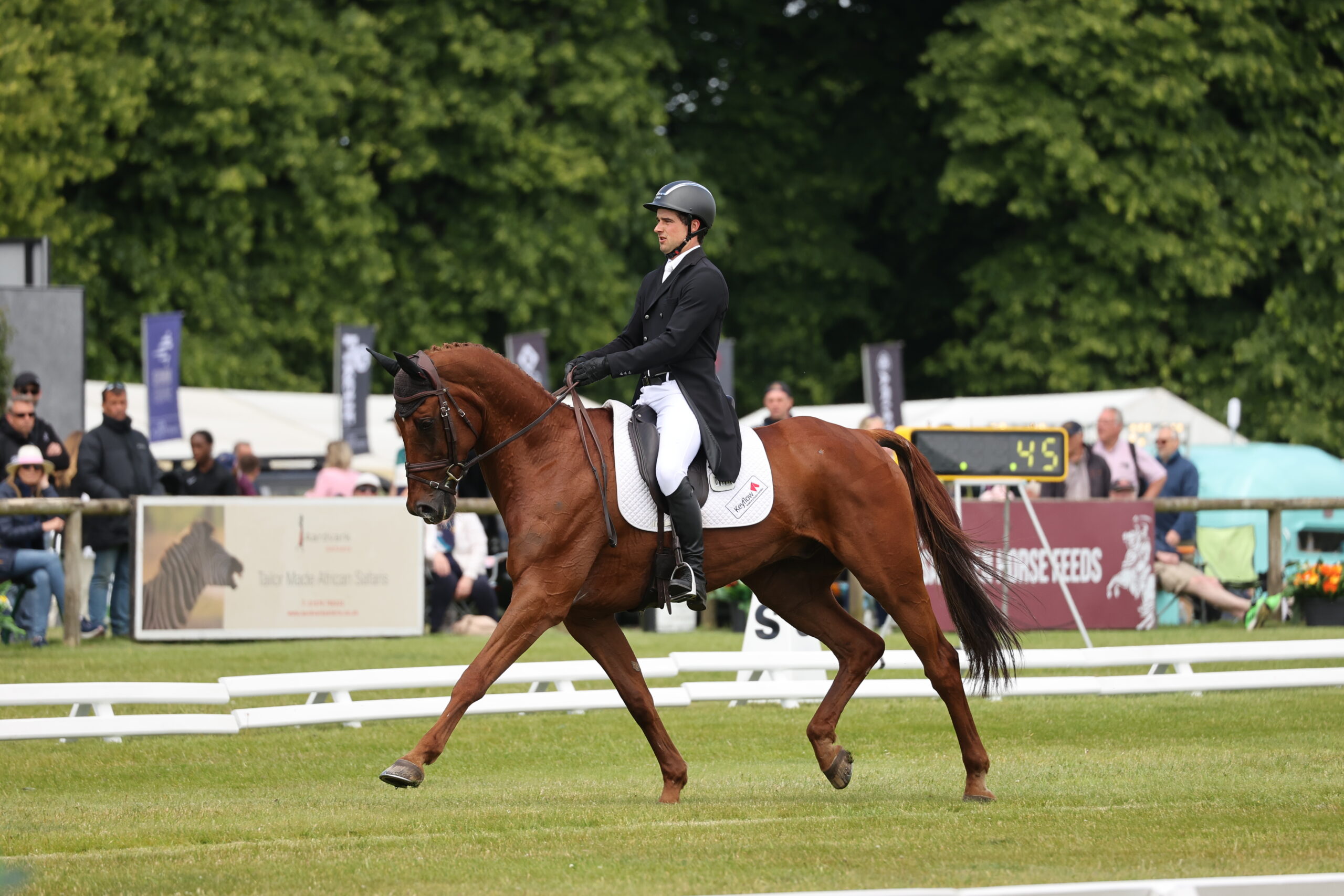 Dressage Extended