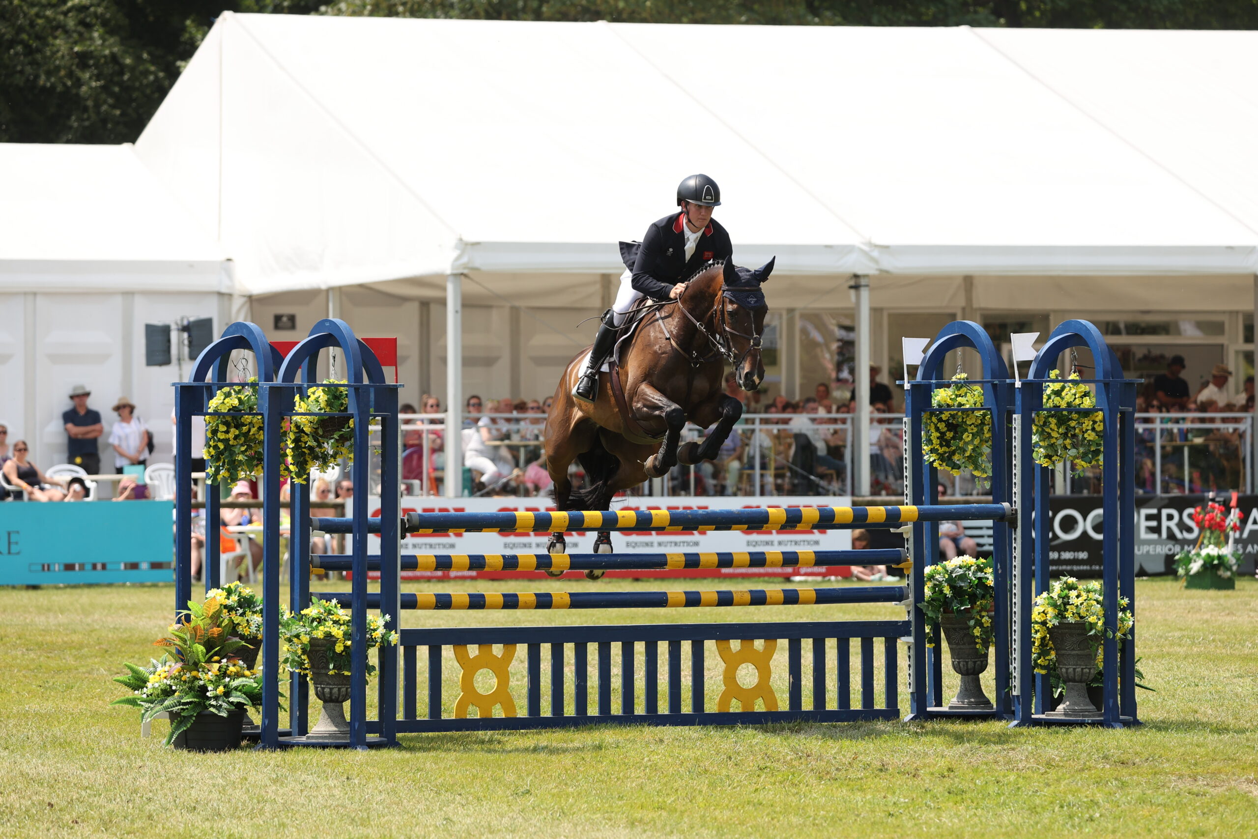 SJ McEwan